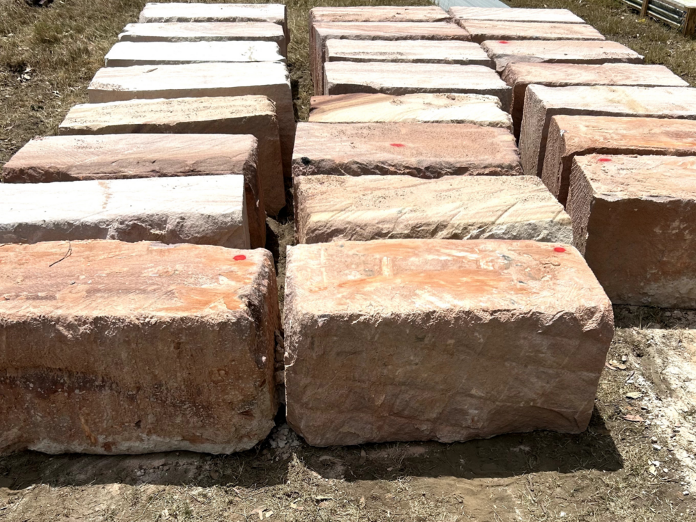 Sandstone logs in Quarry